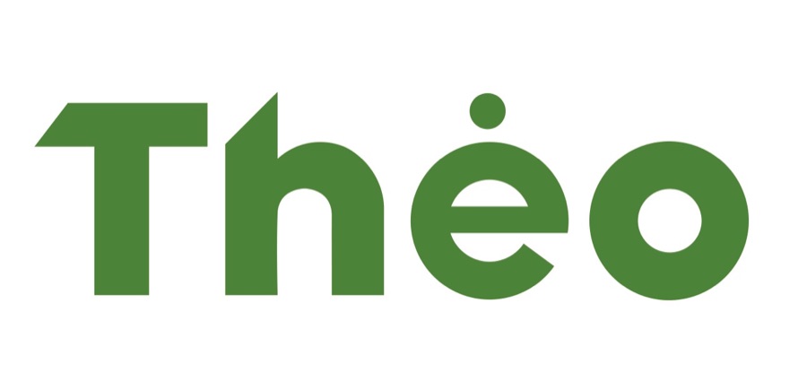 Logo de la plateforme THEO