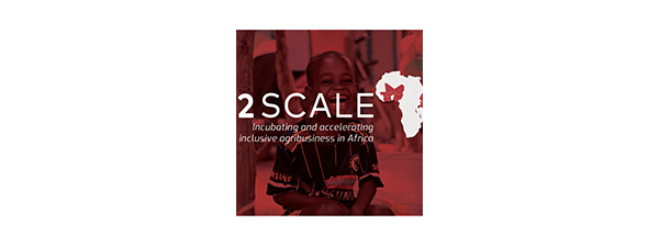 Logo 2SCALE