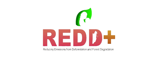 Logo REDD+
