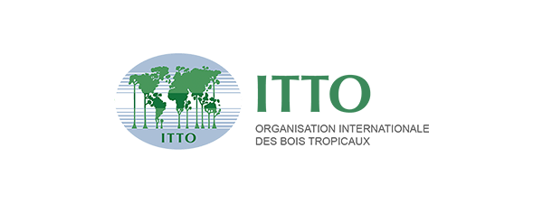 Logo ITTO